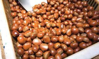 炒栗子的制作方法（炒栗子的制作方法视频）