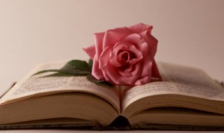 描写天气的优美句子（描写天气晴朗的优美句子）