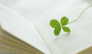 描写彩虹的优美句子（一年级描写彩虹的优美句子）