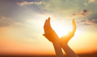 母校回忆精美句子 母校回忆精美句子短句