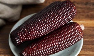 黑玉米为什么不能吃（黑玉米和黄玉米哪个好）
