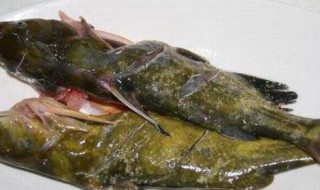 鱼鳞能吃吗（鲥鱼的鱼鳞能吃吗）