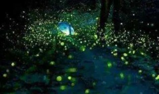 萤火虫为什么会发光呢 萤火虫为什么会发光呢30字