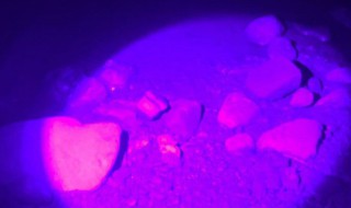 为什么夜钓禁用蓝光灯（夜钓鲢鳙用什么灯光）