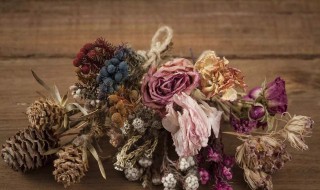 家里为什么不能放干花 家里为什么不能放干花 图片