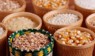 容易胀气的食物有哪些（吃了容易胀气的食物有哪些）