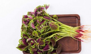 苋菜为什么不能晚上吃 苋菜需要焯水吗?