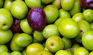 橄榄果怎么吃（橄榄果怎么吃,有什么好处）