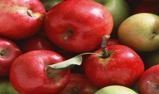 维生素c的食物和水果有哪些 维生素c的食物和水果有哪些含量高