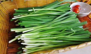 韭菜的种值方法（韭菜的种植方式是什么?）