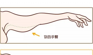 甩臂的正确方法 甩臂的正确方法图解