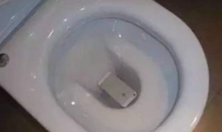 手机掉厕所里怎么处理
