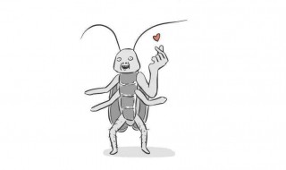 为什么会有蟑螂（为什么会有蟑螂的出现）