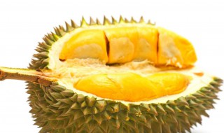 开榴莲的方法 开榴莲的方法视频教程