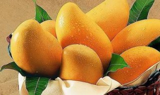 没熟的芒果怎么保存方法（没熟的芒果怎么保存方法图片）