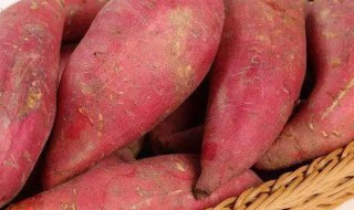 广东红薯长期保存方法 广东的红薯什么时候成熟