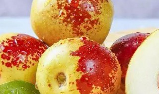 冬枣冷库长期保存方法 冬枣冷库长期保存方法有哪些