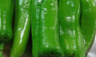 夏天怎样保存青椒的保鲜方法 夏天怎么保存青椒