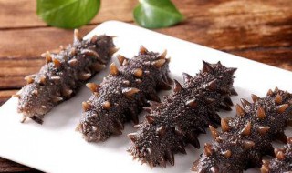 海参保存方法一般放多久 海参保存多长时间