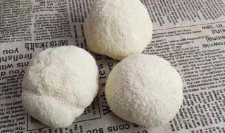 猴头菇冷冻的保存方法 猴头菇冷冻的保存方法有哪些