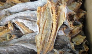 鲈鱼腌制长期保存方法（鲈鱼腌制长期保存方法视频）