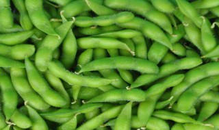 毛豆的怎么保存方法（毛豆怎么保存才好吃）