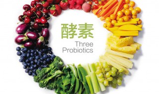 酵素的功效和作用(甲猜酵素的功效和作用)