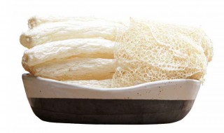 竹荪菇的保存方法（竹荪菇的保存方法有哪些）