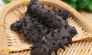 什么样的海参好呀