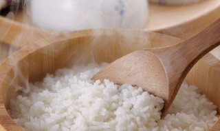 减肥吃米饭还是面食（稀饭能减肥吗）