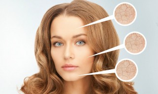 冻干粉的功效与作用（冻干粉的功效与作用对皮肤的作用）