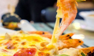 什么是芝士（什么是芝士蛋糕）