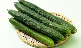 青瓜可以生吃吗（水果小青瓜可以生吃吗）
