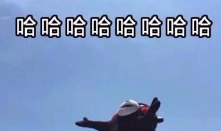 三个哈哈哈是什么意思? 三个哈哈哈是什么意思网络用语