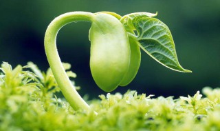 如何保持良好心态 如何保持良好心态英语作文