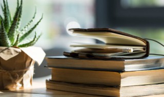 黄色预警代表什么（黄色预警代表什么等级）