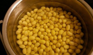 泡黄豆做法窍门 泡黄豆的做法窍门