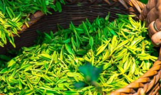 喝绿茶有什么好处与坏处