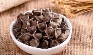 辣木籽的功效与作用及食用方法（辣木籽的功效与作用及食用方法百度）