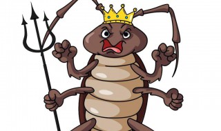 如何彻底消灭家中蟑螂（如何避免蟑螂晚上爬床）