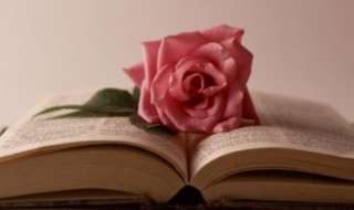 母亲生日祝福语（母亲生日祝福语 简短）