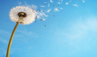 放飞心情的句子唯美（孩子放飞心情的句子唯美）