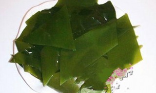 海带叶芽怎么保存