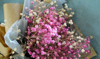 干花做了怎么保存 做好的干花怎么保存