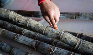 甘蔗怎么长时间保存（甘蔗怎么长时间保存不会坏）