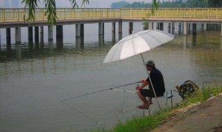 路边钓鱼技巧 马路边钓鱼