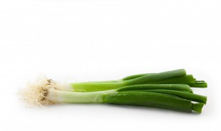 香葱发芽技巧