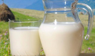 早晨吃牛奶还是晚上喝牛奶好