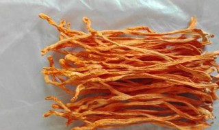 虫草花有什么功效和作用 虫草花有什么功效和作用禁忌症