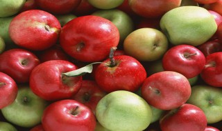 绿色食品的标准是什么 绿色食品标准的概念